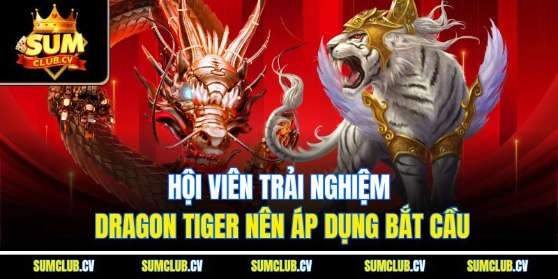Hội viên trải nghiệm Dragon Tiger nên áp dụng bắt cầu